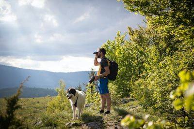 Vermont’s 7 best hiking trails - lonelyplanet.com - Usa - Canada - state Vermont - county Long - state Massachusets - state New Hampshire - county Green - Burlington, state Vermont