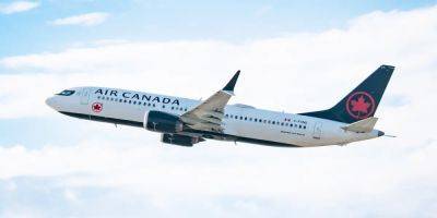 Air Canada grounded a pilot after discovering his 'unacceptable' social media posts condemning Israel - insider.com - Israel - Canada - Palestine
