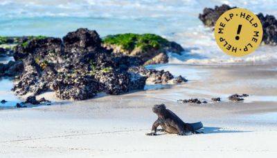 Is it possible to visit the Galápagos Islands on a budget? - lonelyplanet.com - Usa - county Santa Cruz - Ecuador
