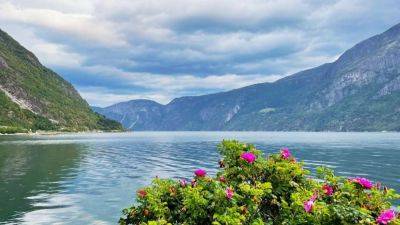 Eidfjord: Your Gateway To The Breathtaking Beauty Of Fjord Norway - forbes.com - Norway - county Bergen - city Oslo - county Will