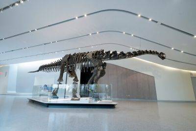 Cleveland Museum of Natural History Unveils New Visitor Hall - breakingtravelnews.com - state Colorado - state Alaska - county Cleveland - Ethiopia