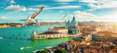 Seagulls Shut Down Airport in Venice, Italy - travelpulse.com - Italy - Usa - New York - city Venice, Italy - city Floating