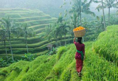 Discover Natural Wonders And Immersive Cultural Experiences On A Curated Tour In Bali - forbes.com - Indonesia