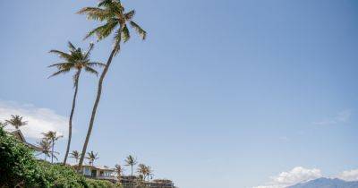 Yes, Maui Is Open. But the Loss of Lahaina May Reshape Tourism. - nytimes.com - county Carlton - city Lahaina - Hawaiian