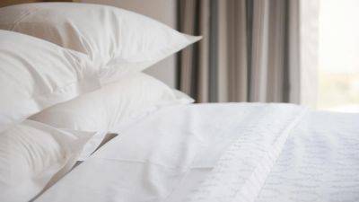 Why It Can Be So Difficult To Identify Bed Bugs, According To Pest Experts - forbes.com - Britain - city Las Vegas