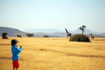 9 of the best things to do in Namibia with kids - lonelyplanet.com - Namibia