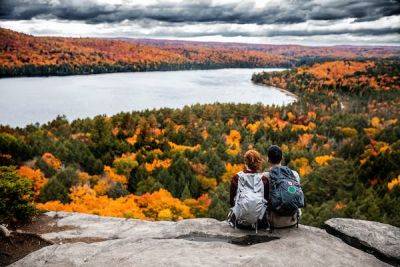 Copy My Trip: Going back to nature in Canada’s Algonquin Provincial Park - lonelyplanet.com - county Park - Canada - county Ontario - city Ottawa - county White Pine