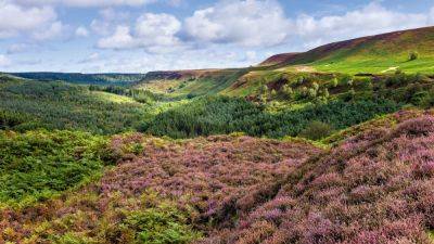 Follow in the footsteps of monks and literary giants on the North York Moors - nationalgeographic.com - France - Britain - state Indiana - county Green