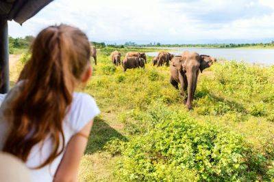 The best things to do in Sri Lanka with kids - lonelyplanet.com - India - Sri Lanka