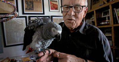 Joe Sharkey, Travel Writer Who Survived Midair Collision, Dies at 77 - nytimes.com - Usa - New York - Brazil - state Arizona - city Tucson, state Arizona