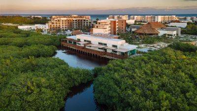 Ventus Ha' makes mangroves the main attraction - travelweekly.com - Mexico