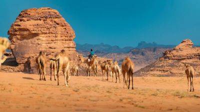 Why Saudi Arabia Is Your Next Adventure Travel Destination - travelweekly.com - city Old - Saudi Arabia - Jordan - city Riyadh