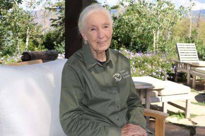 Dr. Jane Goodall on Responsible Animal Tourism — and Her Hope for the Future - travelandleisure.com - state Colorado - Rwanda