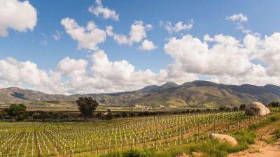 A Slow-Paced Guide to Valle de Guadalupe, Mexico's Wine Country - cntraveler.com - Los Angeles - Usa - Mexico - county San Diego