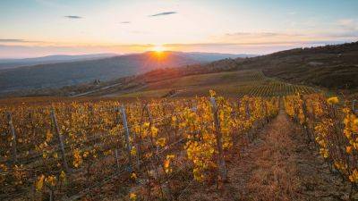 Discover Moldova's vibrant viticulture regions - nationalgeographic.com - France - Moldova - city Sandwich - city Chişinău