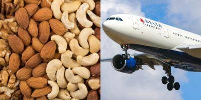 A Delta flight attendant refused to stop selling nuts on a flight, forcing a family whose son had 'life-threatening' allergies to buy another plane ticket, a complaint claims - insider.com - county San Diego - county York - county Delta