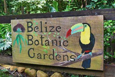Exploring Nature’s Tapestry: The Enchantment of Belize Botanic Gardens - breakingtravelnews.com - county Garden - Belize
