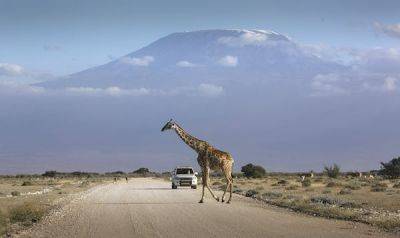 7 of the best road trips in Kenya: top tips for a memorable journey - lonelyplanet.com - Italy - city Nairobi - Kenya