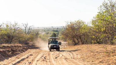 Out in the Bush With Botswana's All-Woman Safari Guiding Crew - cntraveler.com - South Africa - Zimbabwe - Namibia - Botswana