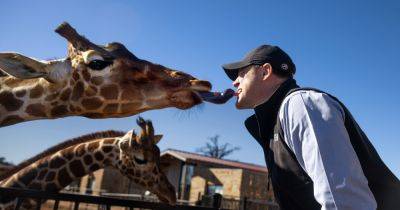 Downward Dogs and Giraffes Up Close: What’s New at Texas Hill Country Hotels - nytimes.com - Austin - state Texas
