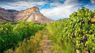 Colorado Wines Hitting High Points - forbes.com - Spain - Usa - state Colorado - county Napa - county Valley - state New Mexico - county Mesa - city Albuquerque, state New Mexico