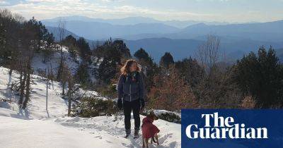 In the Greek midwinter: hiking around the Vikos gorge, Greece’s ‘Grand Canyon’ - theguardian.com - Greece - Britain - Albania - county Canyon