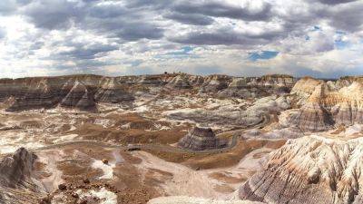 Petrified Forest National Park: 10 Things To Know Before You Go - forbes.com - state Arizona