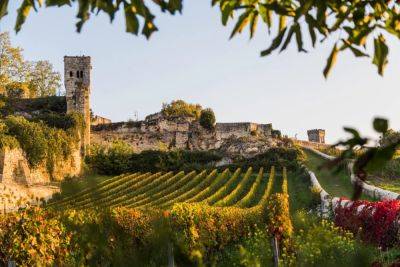 These Scents Will Transport You To Some Of The World’s Best Wine Regions - forbes.com - France - Italy - county Napa - county Valley - Charleston, state South Carolina - state South Carolina