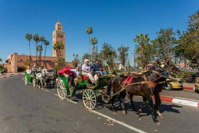 The best ways to get around in Marrakesh - lonelyplanet.com - Morocco - city This - city Red