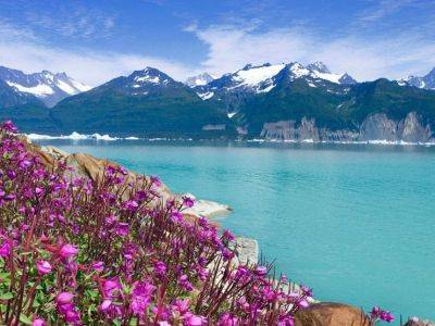 Thrilling adventures await in Alaska's Skagway: A guide to exciting shore tours and memorable experiences - traveldailynews.com - county Forest - state Alaska - county Glacier - city Juneau
