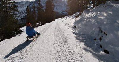 Teetering Between Joy and Terror: Extreme Sledding in the Swiss Alps - nytimes.com - Switzerland - Britain - region Jungfrau