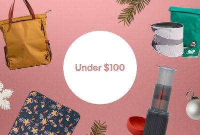 15 best gifts for travelers under $100 for 2023 - lonelyplanet.com