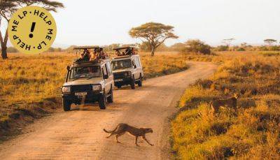 I want to go on a safari in Botswana, Kenya or Tanzania - how hard would it be to drive myself? - lonelyplanet.com - Tanzania - county Falls - Zimbabwe - Kenya - Namibia - Botswana - Zambia - Victoria, county Falls