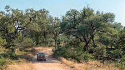A beginner's budget self-drive safari in the Kruger National Park, South Africa - nationalgeographic.com - South Africa - Mozambique - city Johannesburg - county Park