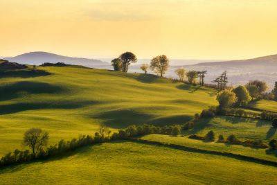 Spring equinox at Loughcrew: waking up to Ireland’s secret rock art - roughguides.com - Ireland - county Meath