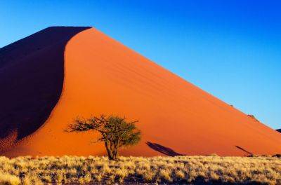 Ten unforgettable things to do in Namibia - roughguides.com - France - Antarctica - Angola - Namibia - county Canyon - Botswana - Zambia