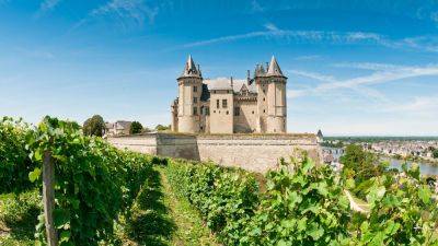 Wine tasting in the Loire Valley - roughguides.com - France - city Paris - New Zealand - county Valley - city Santé - county Alexander
