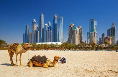 6 things every family must do in Dubai - roughguides.com - Uae - city Dubai