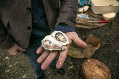 Following the Oyster Trail in Galway, Ireland - roughguides.com - Ireland