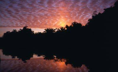 The 10 best jungle lodges in the Amazon - roughguides.com - Usa - Brazil - county Lake - Peru - Bolivia - Ecuador