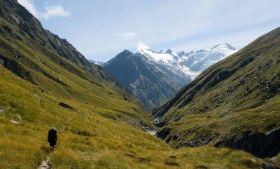Five of the best alternative walks in New Zealand - roughguides.com - county Hot Spring - New Zealand - county Park - county Forest