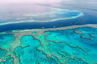 A Rough Guide to: visiting Australia's Great Barrier Reef - roughguides.com - Netherlands - Switzerland - Australia - Britain - county Bay - Papua New Guinea