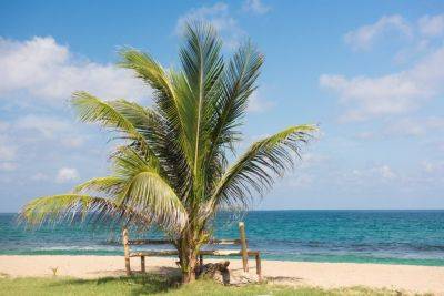 Coronavirus in the Caribbean: an interview with Grenada Tourism - roughguides.com - Britain - Martinique - city Sandy - Grenada