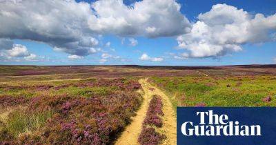 Footpaths to the past: ‘We must keep our ancient tracks alive by walking them’ - theguardian.com - Britain