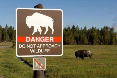 NPS Issues Wildlife Warning After Visitors Are Injured by Bison at 2 U.S. Parks - travelandleisure.com - state Colorado - county Park - state Arizona - state Minnesota - county Yellowstone - state Utah