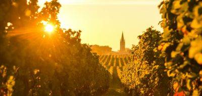 10 best Bordeaux vineyards - roughguides.com - France - city Santé
