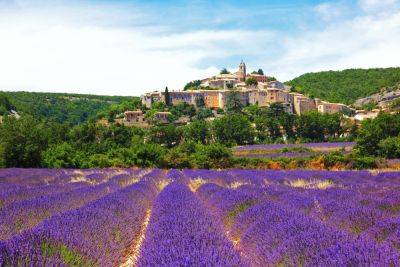 Guide to visiting the Provence lavender fields in France - roughguides.com - France