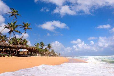 Surfari time: best beaches in Sri Lanka - roughguides.com - Netherlands - Ireland - Antarctica - India - county Bay - Sri Lanka