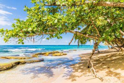 Best beaches in Costa Rica in 2023 - roughguides.com - Costa Rica