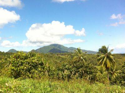 Tales of nurture from the Nature Island of Dominica - roughguides.com - Britain - Dominican Republic - county Bay - Dominica - city Sandra